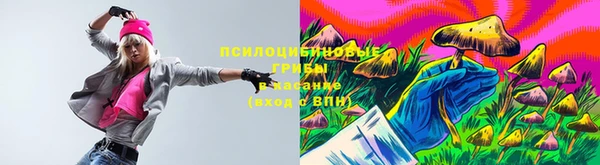 бошки Коряжма