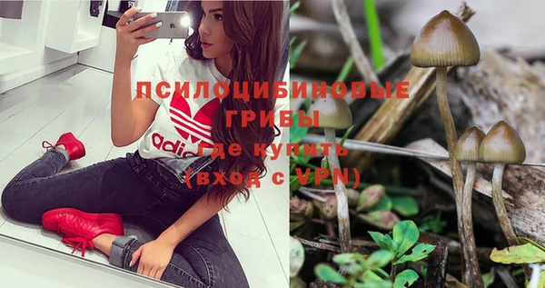 бошки Коряжма