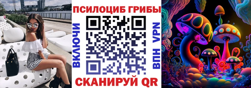 Купить закладки  Цоци-Юрт  Галлюциногенные грибы мицелий 