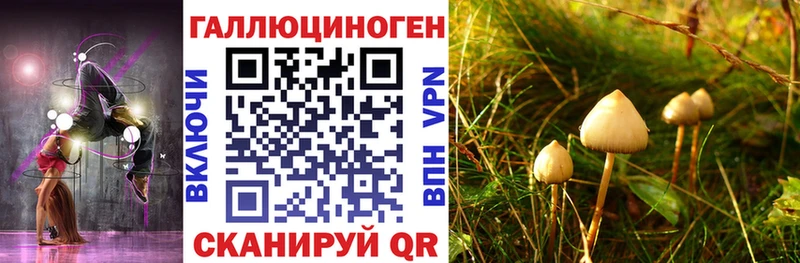 Галлюциногенные грибы ЛСД Цоци-Юрт